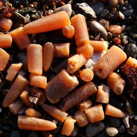 Zum Donnerkeil Goehren (Ruegen)